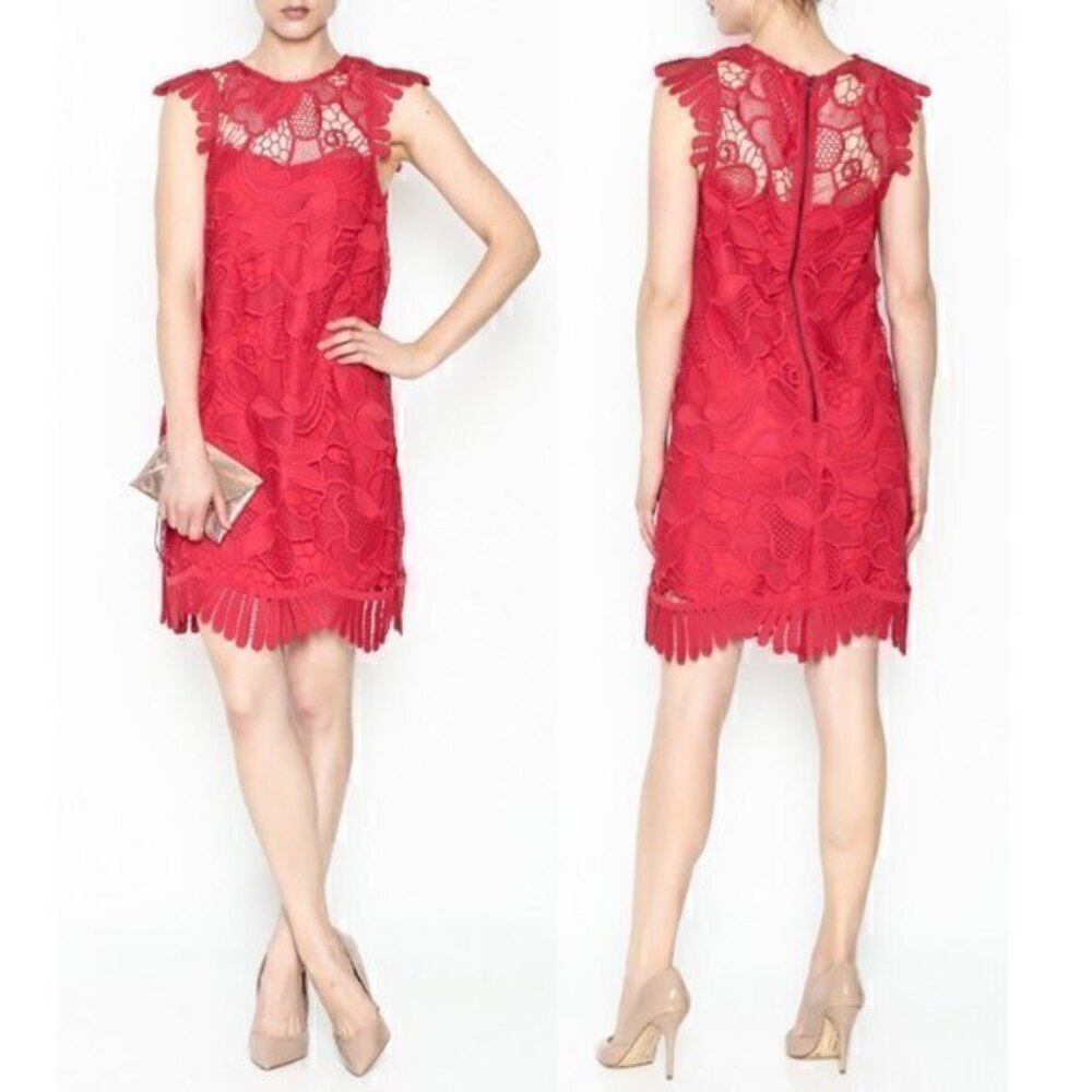 BB Dakota RSVP Red Lace Bodycon Lowe Dress Sz 2